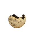 STONE BALL S